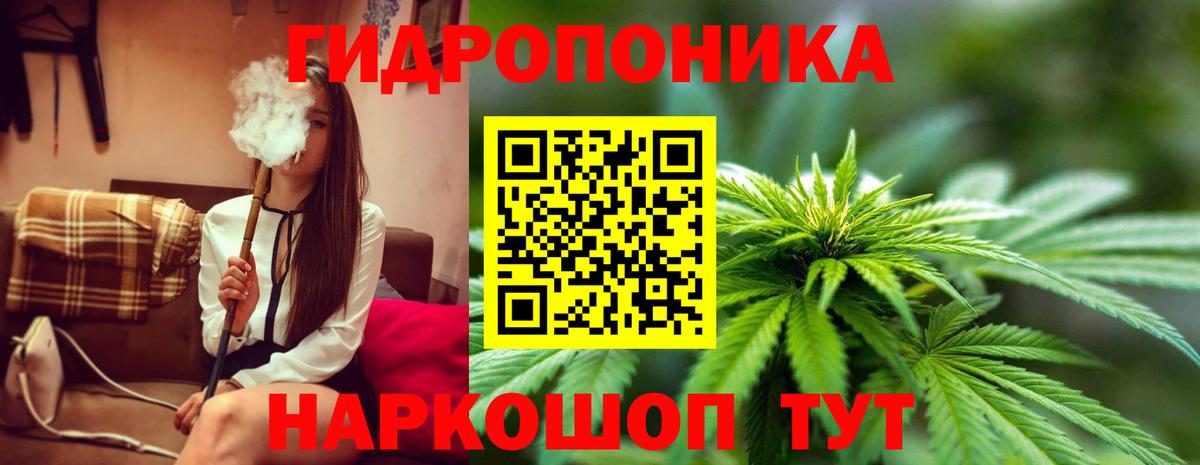 Конопля семена Миасс